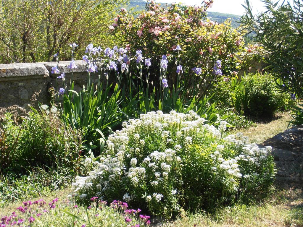 Le Seminaire Bed & Breakfast Roussas Luaran gambar