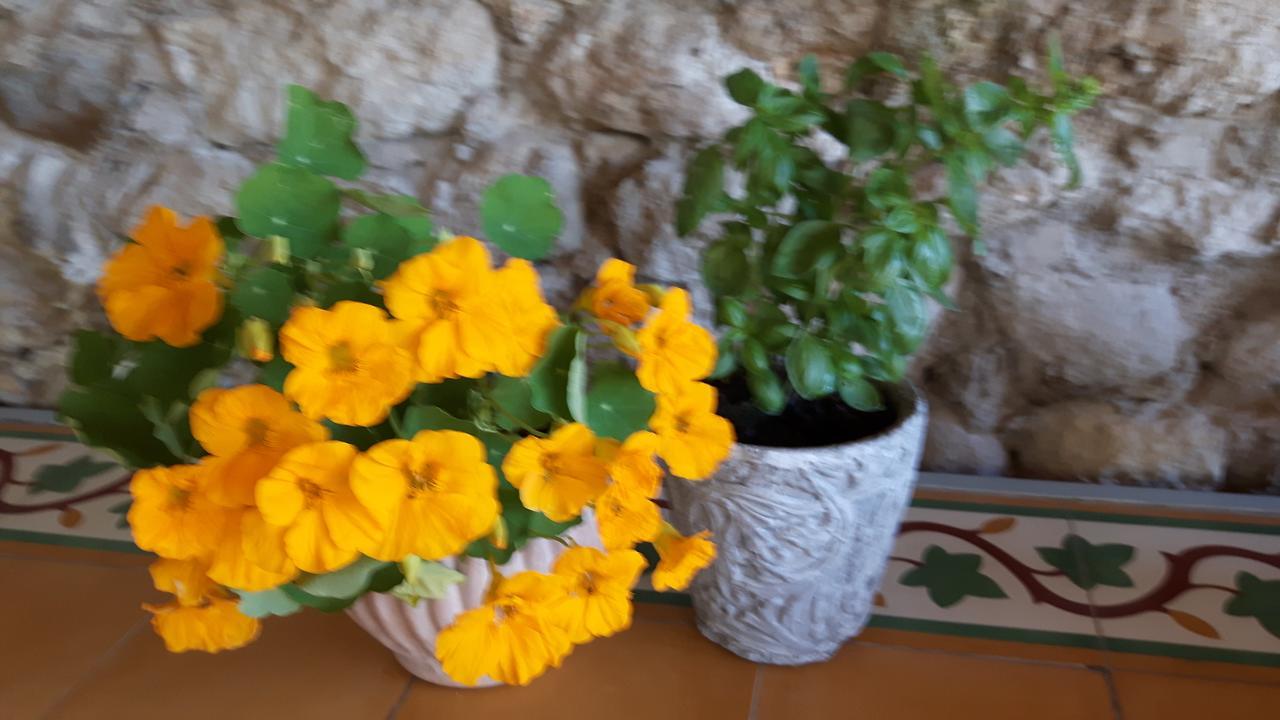 Le Seminaire Bed & Breakfast Roussas Luaran gambar